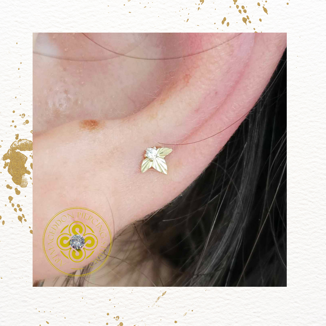 Gratitude - CZ - Threadless End