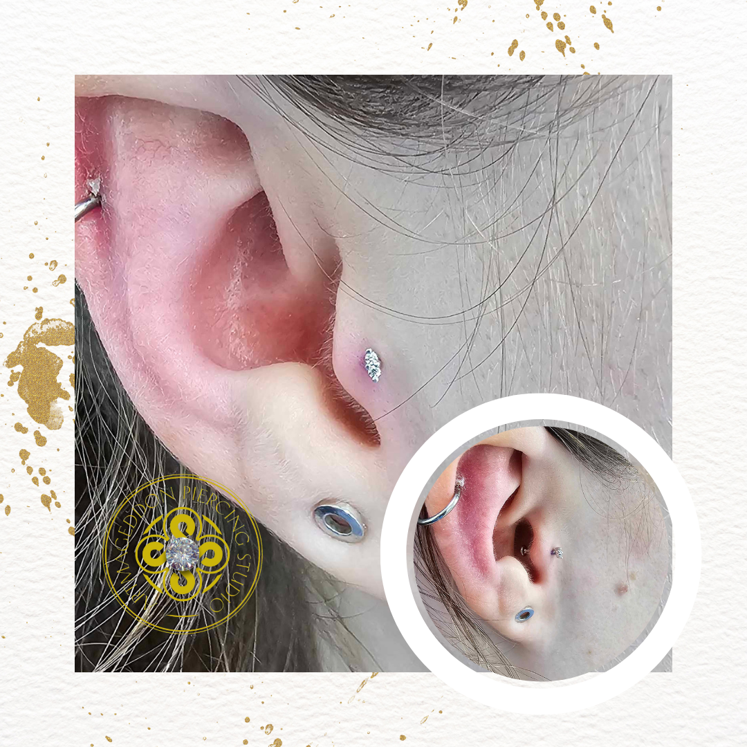 Mishka Prong 2 - CZ - Threadless End