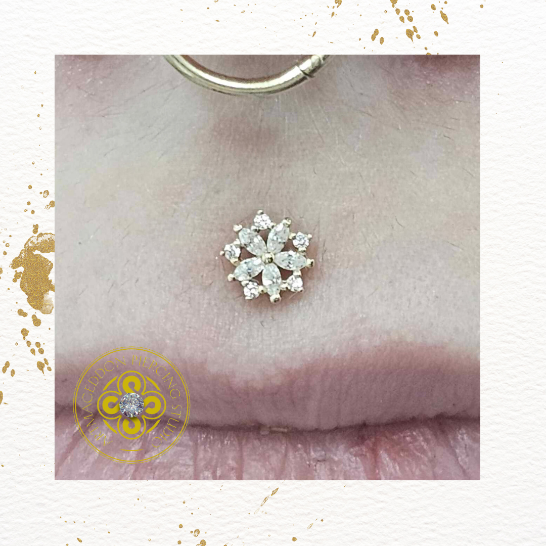 Luminescent - CZ - Threadless End