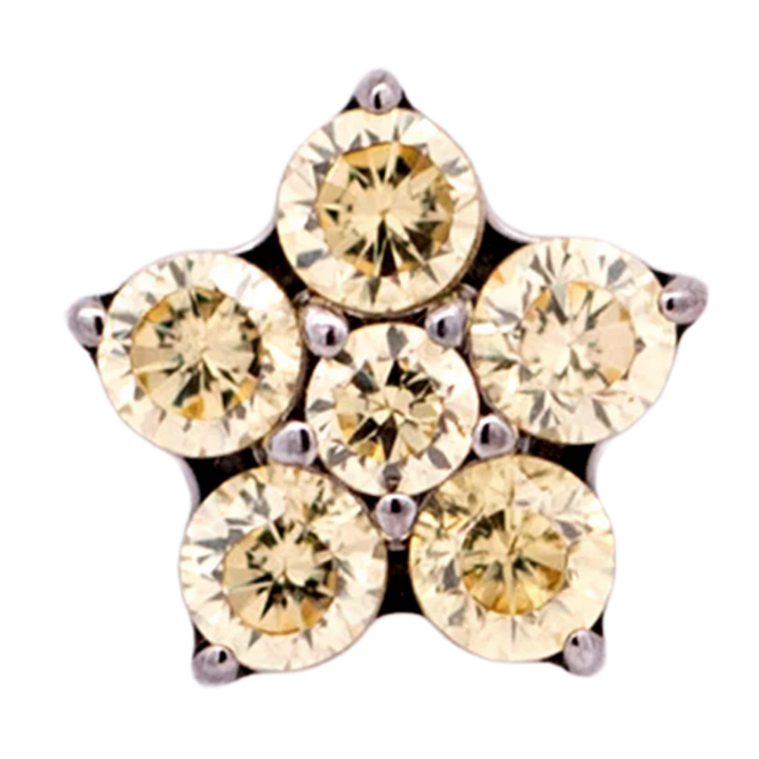 Titanium 5 Gem Petal Flower - Threadless