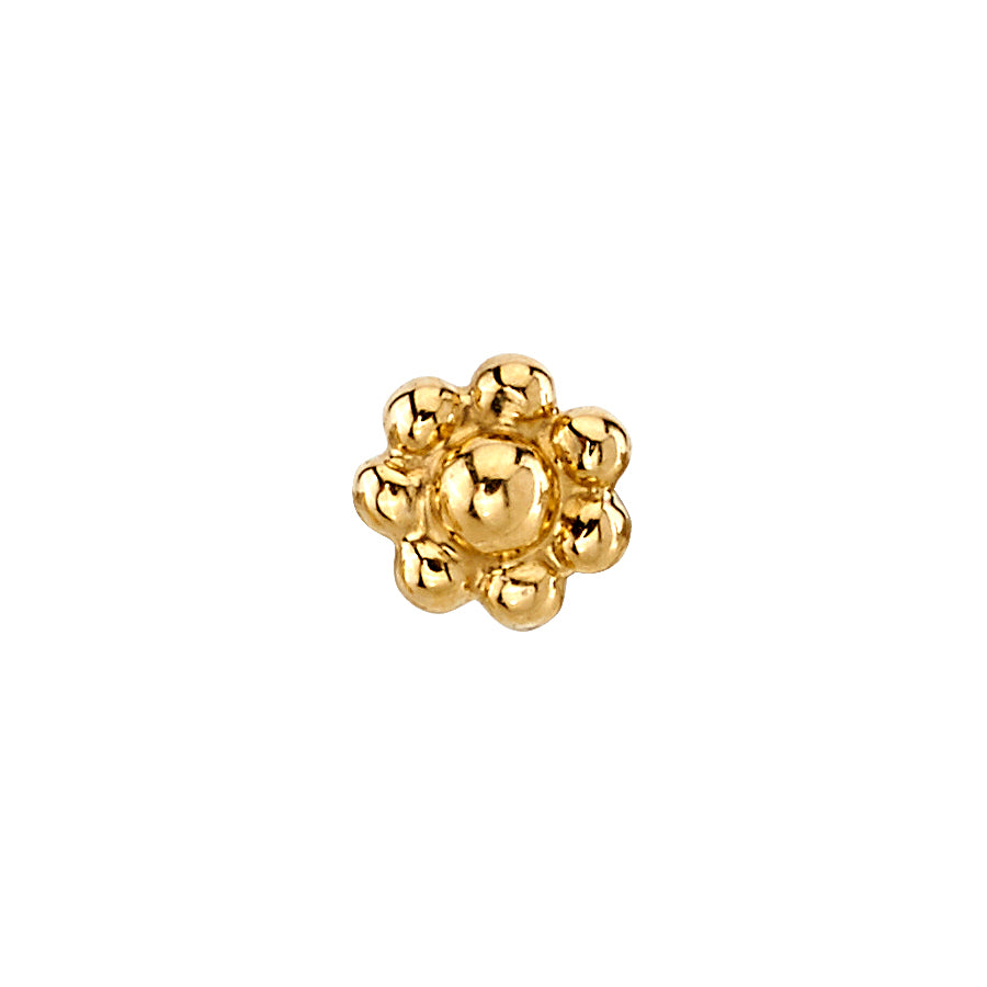 Close-up of a BVLA seven-bead flower end in polished 14k yellow gold, designed for luxury body piercings such as helix, flat, tragus, or lip