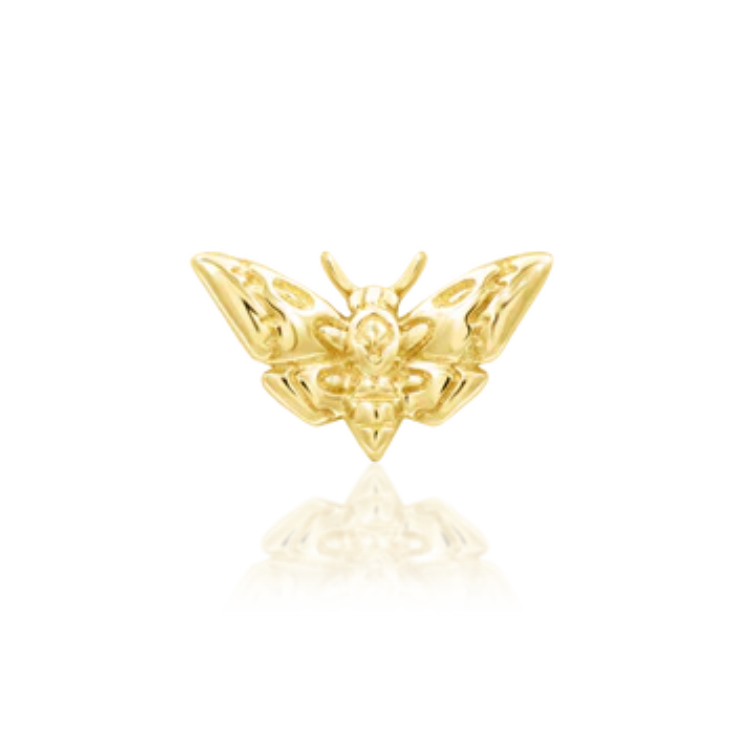 Very shiny 14k gold body jewellery in the shape of a detailed Death’s-head moth with textured wings and a raised body. A striking design ideal for flat, helix, or conch piercings.