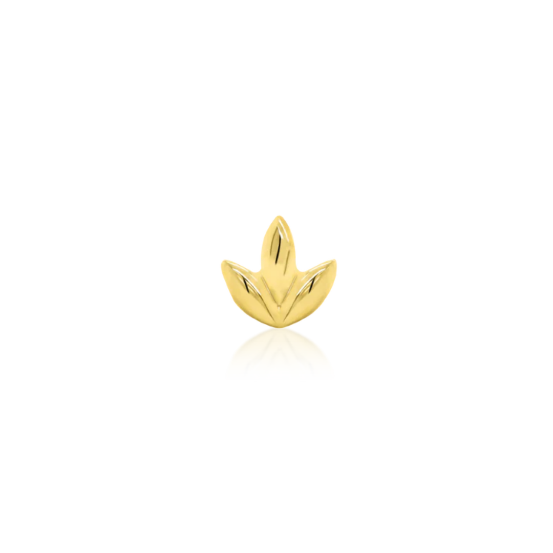 Very shiny 14k gold body jewellery shaped like a stylised three-petal flower with soft curves and subtle engraved details. A botanical-inspired piece ideal for helix, flat, or tragus piercings.