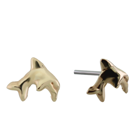 Le Roi 14k solid gold dolphin-shaped threadless end with titanium post, luxury body piercing jewellery available in yellow, white, and rose gold