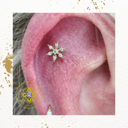 Chamonix CZ Threadless End
