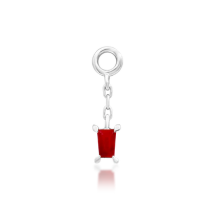 Salvie Charm