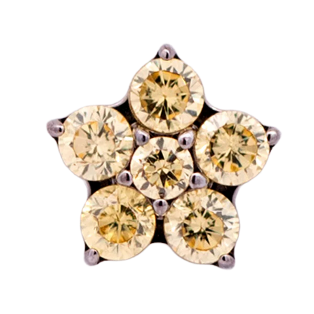 Titanium 5 Gem Petal Flower - Threadless