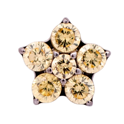 Titanium 5 Gem Petal Flower Threadless End