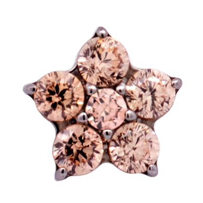 Titanium 5 Gem Petal Flower Threadless End