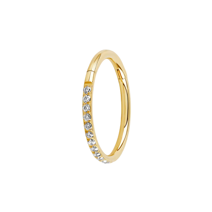 titanium clicker ring with slim half pave cz front in polished or gold anodised finish  