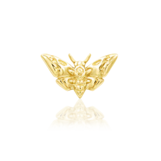 Very shiny 14k gold body jewellery in the shape of a detailed Death’s-head moth with textured wings and a raised body. A striking design ideal for flat, helix, or conch piercings.