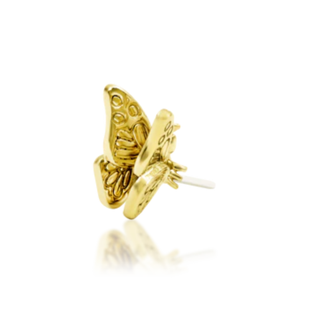 3D 14k gold butterfly piercing end with detailed wings and polished finish