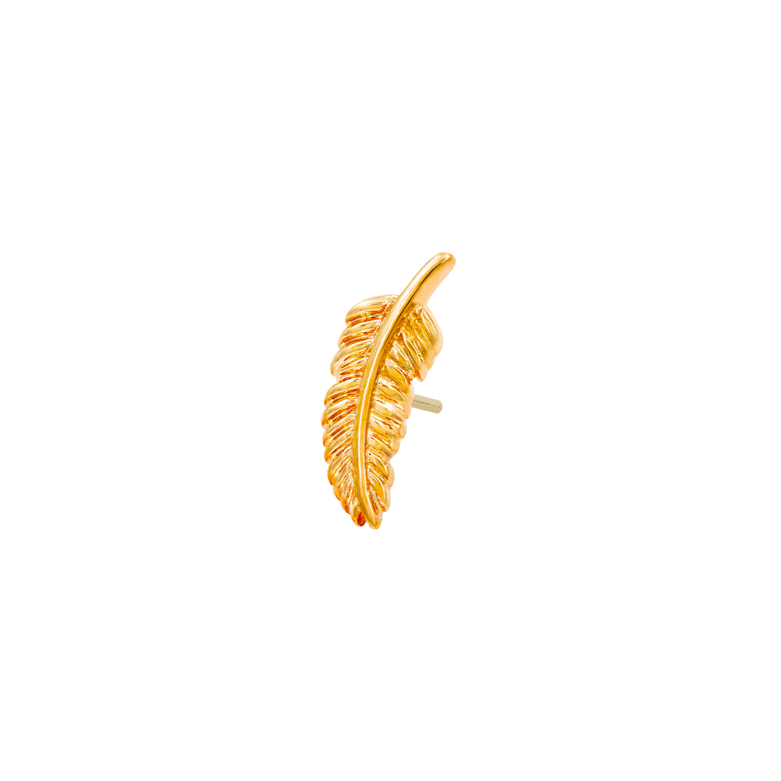 14ct Gold Feather End - Artmageddon Piercing Studio